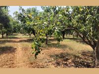 Agricultural Plot / Land for sale in Mappedu, Chennai