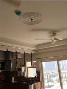 2 Bedroom Apartment for rent in Noida City Centre, Noida