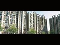 2 Bedroom Flat for rent in Tulip Lemon, Sector-69, Gurgaon