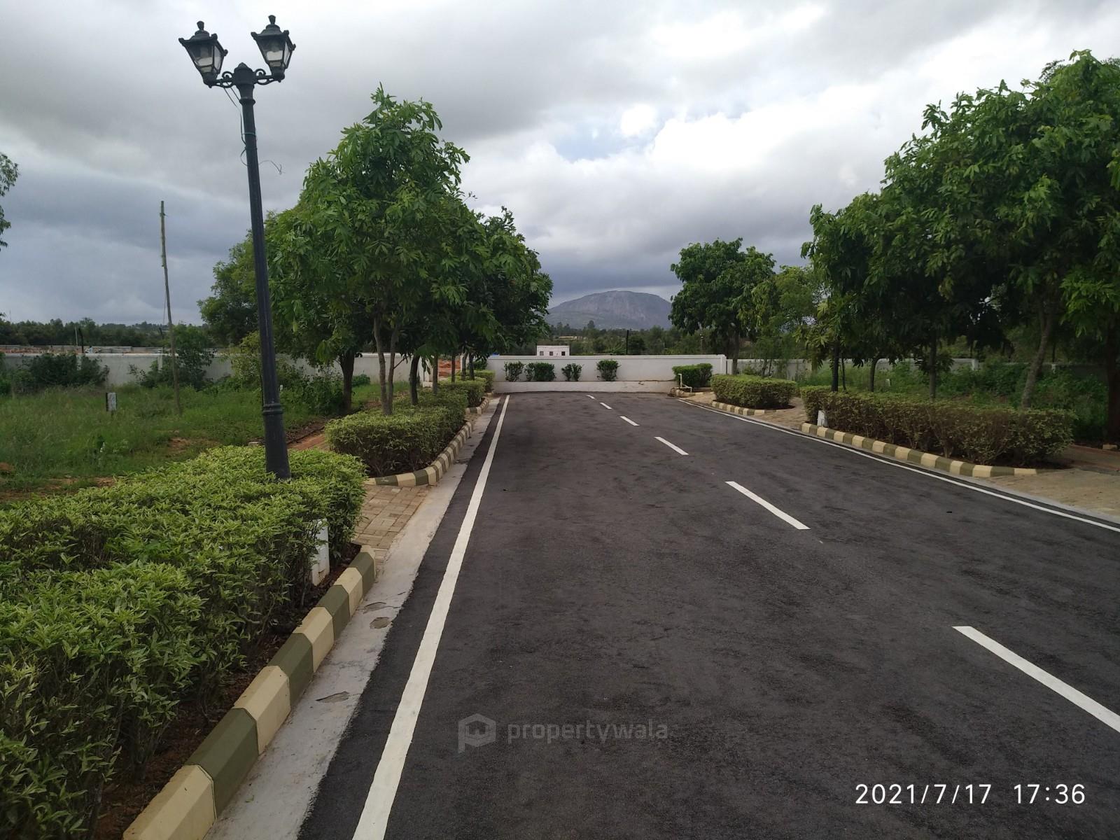 nandi Hills view