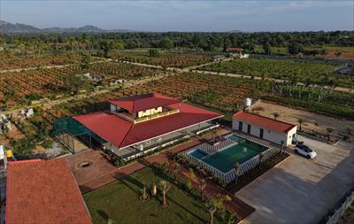 Neralu Farms - Chintamani, Chikkaballapur
