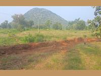 5 ACRE, RED SOIL, COCONUT FARM-BEAUTIFUL LOCATION