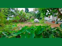 Residential Plot / Land for sale in Kanimangalam, Thrissur