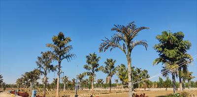 Residential Land for sale in IVC Road area, Bangalore