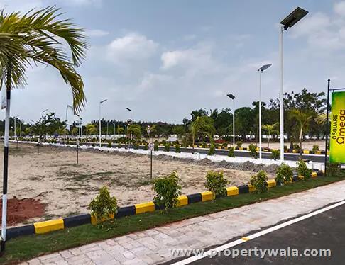Plot View