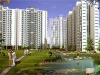 3 Bedroom Flat for rent in BPTP Park Prime, Sector-66, Gurgaon