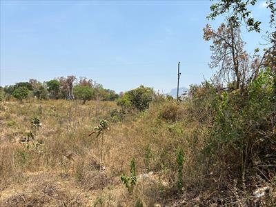 Agricultural Land for sale in Murbad, Thane