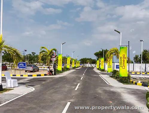 Road View