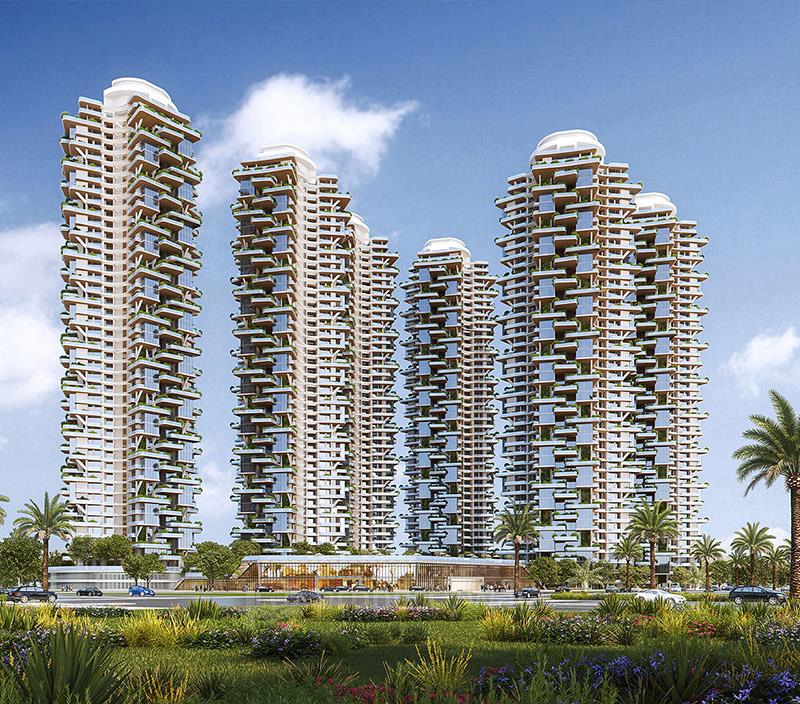 Project - Elevation