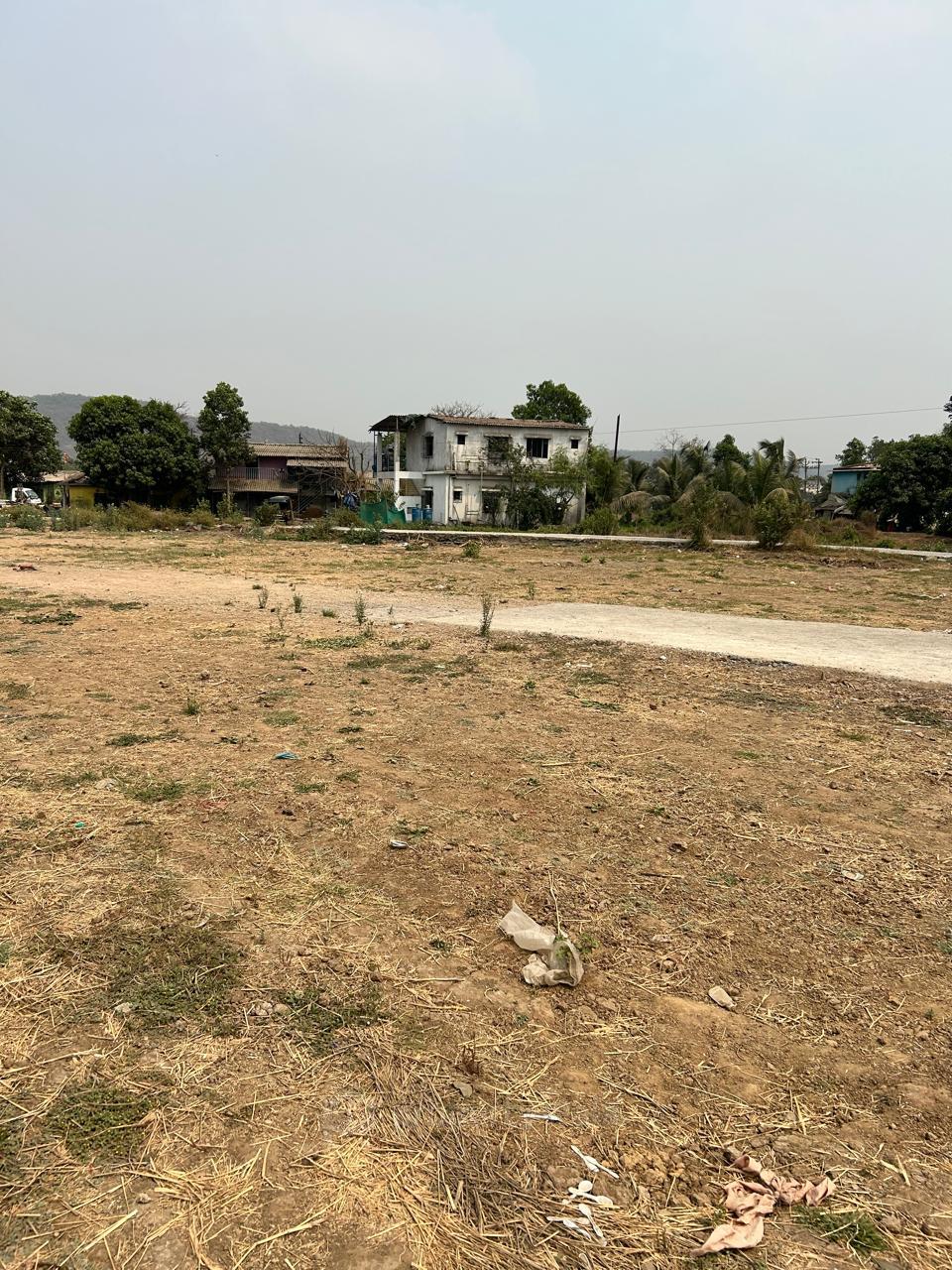 PLOT VIEW