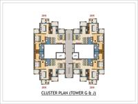 Cluster Plan-D