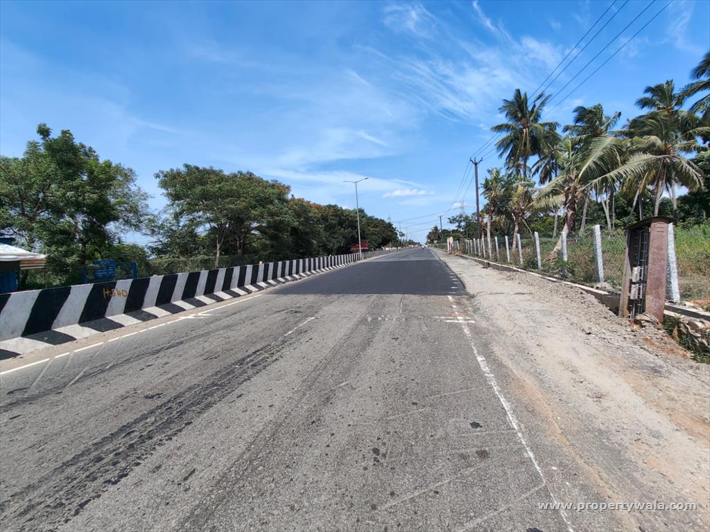 Road view