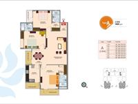 Floor Plan 5