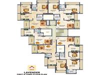 Lavender 1st & 3rd Floor Plan