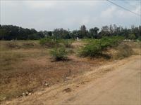 Site View