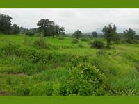 100acres Agriculture land for sale at 12kms city