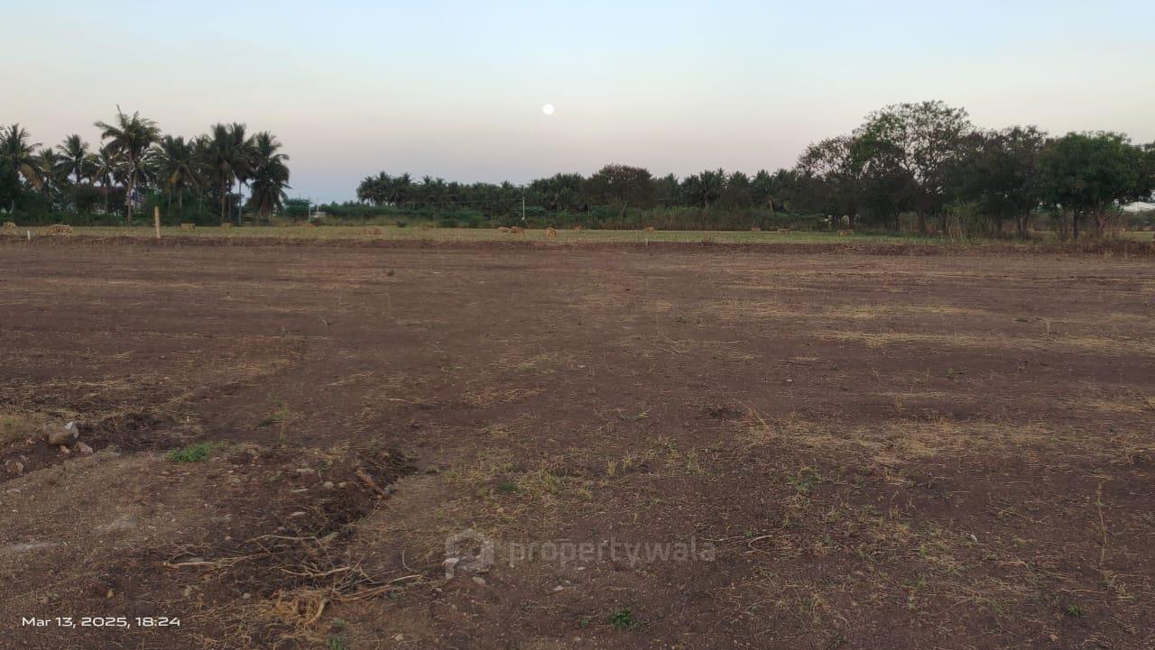 land