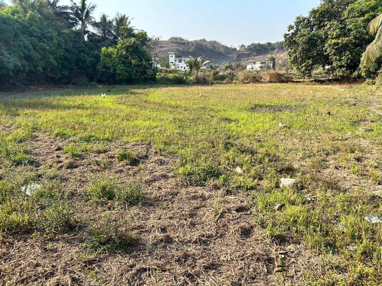 PLOT VIEW