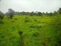 200acres agriculture land for sale at 14kms from MANGON LOCATION-just 6L per acre