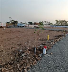 Agricultural Land for sale in Shikrapur, Pune