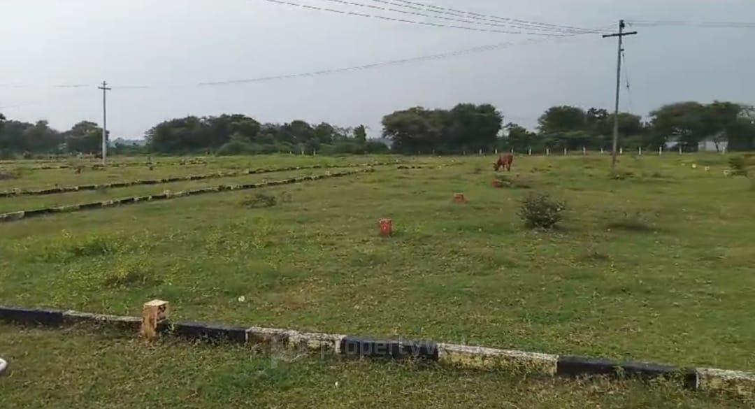 Well Maintained Plots