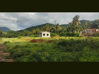 Agricultural Plot / Land for sale in Anaikatti, Coimbatore