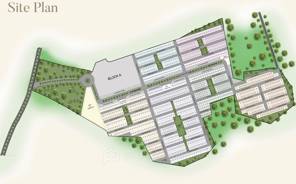 Site Plan