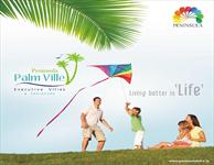 Peninsula Palm Ville