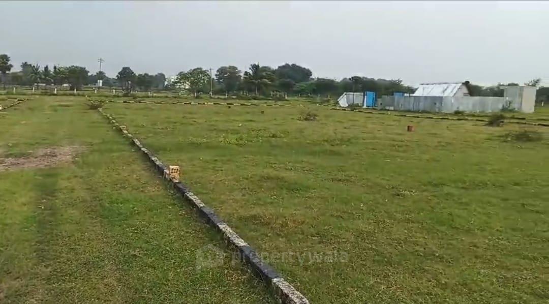 Well Maintained Plots