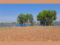 1 ACRE - RIVER SIDE PROPERTY -RED SOIL LAND' SALE