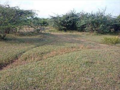 Land for sale in Golden County, Sriperumbudur, Chennai