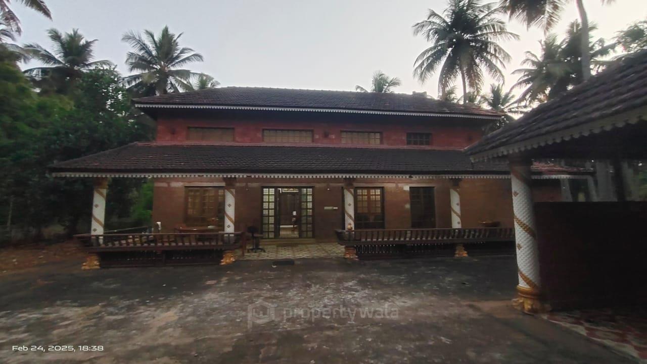 Front View