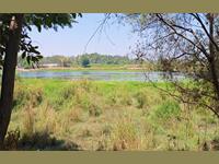 3 ACRE 20 GUNTA- RIVER TOUCH BEAUTIFUL LAND FOR SALE