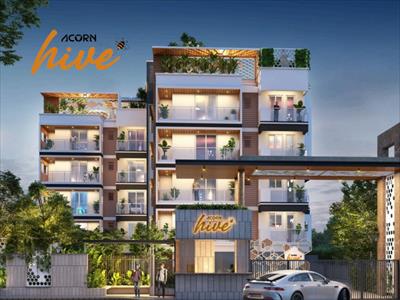 Acorn Hive - Gopasandra, Bangalore