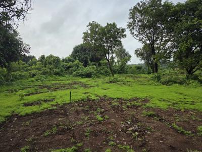Agricultural Land for sale in Mangaon, Raigad