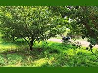 10 Acre Land Sale- ARECA NUT_COCONUT- CHIKKU TREE'S FARM