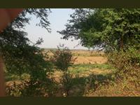 Raipur - Ameri Patan location Road - On Road Highway Agricultural Land