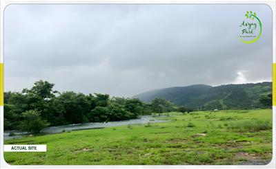 Agricultural Land for sale in Panshet, Pune