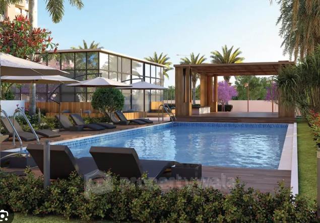 Project - Swimming Pool