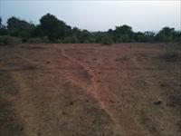 Agricultural Plot / Land for sale in Roha, Raigad