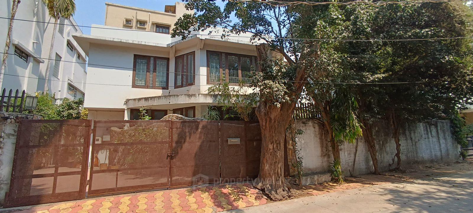 Front View