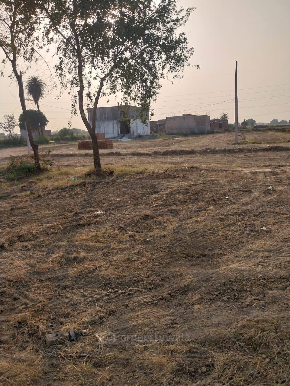 Road view