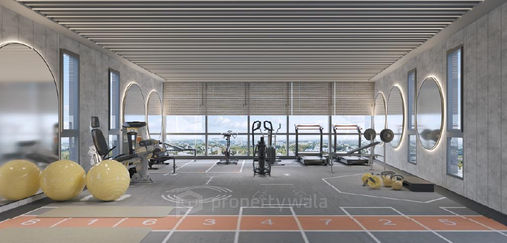 Gymnasium