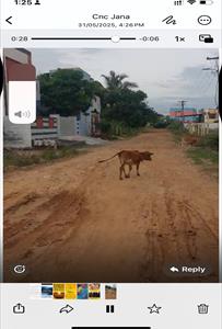 Land for sale in Casagrand Platinum, Padappai, Chennai