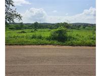 Agricultural Plot / Land for sale in Palghar, Thane