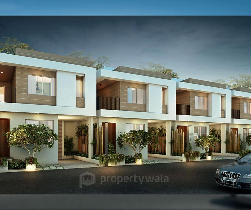 Night Elevation View