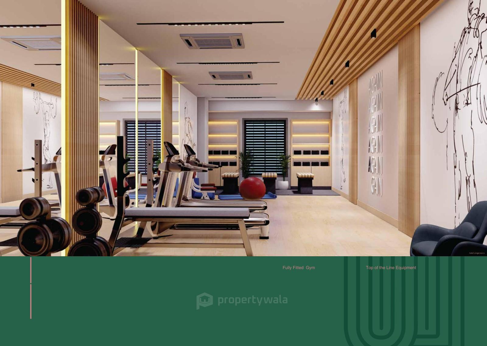 Gymnasium