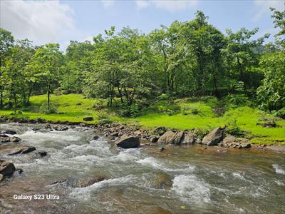 Agricultural Land for sale in Mahad, Raigad