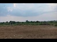 Agriculture land for sale in Pakhand