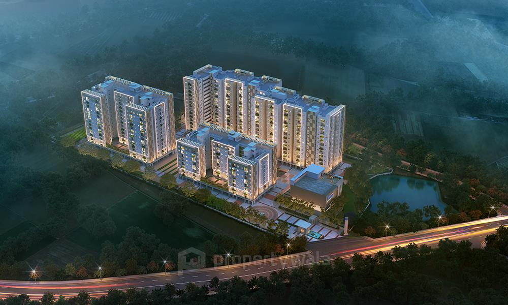 Project - Night View